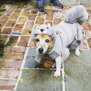 Meet your Posher, Milligan